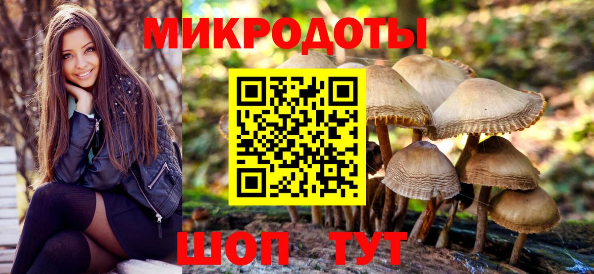 Прохладный  Псилоцибиновые грибы ЛСД  Вход с VPN 